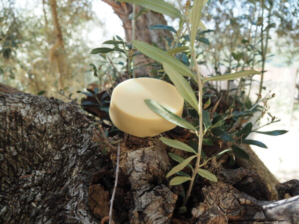 Olivenölseife Olive Lush – Bild 3