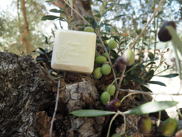 Olivenölseife Olive Lush – Bild 2