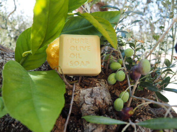 Olivenölseife Lemon Dream