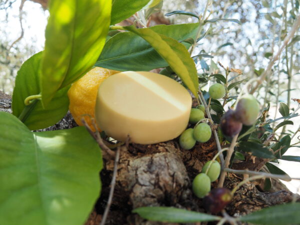 Olivenölseife Lemon Dream – Bild 3