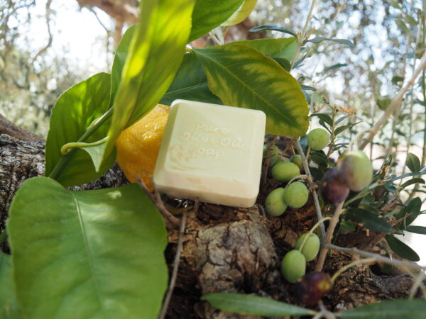 Olivenölseife Lemon Dream – Bild 2